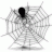 spiderbuber