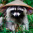 Raccoon