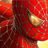 coolspider