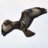 Andrey2671