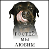 vikinq71