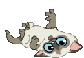 1234