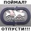 Sywooch