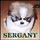 Sergant4x4