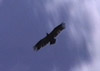 airman2000
