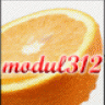 modul312